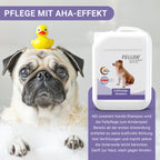 Fellon Entfilzungs-Shampoo für Hunde 10 Liter