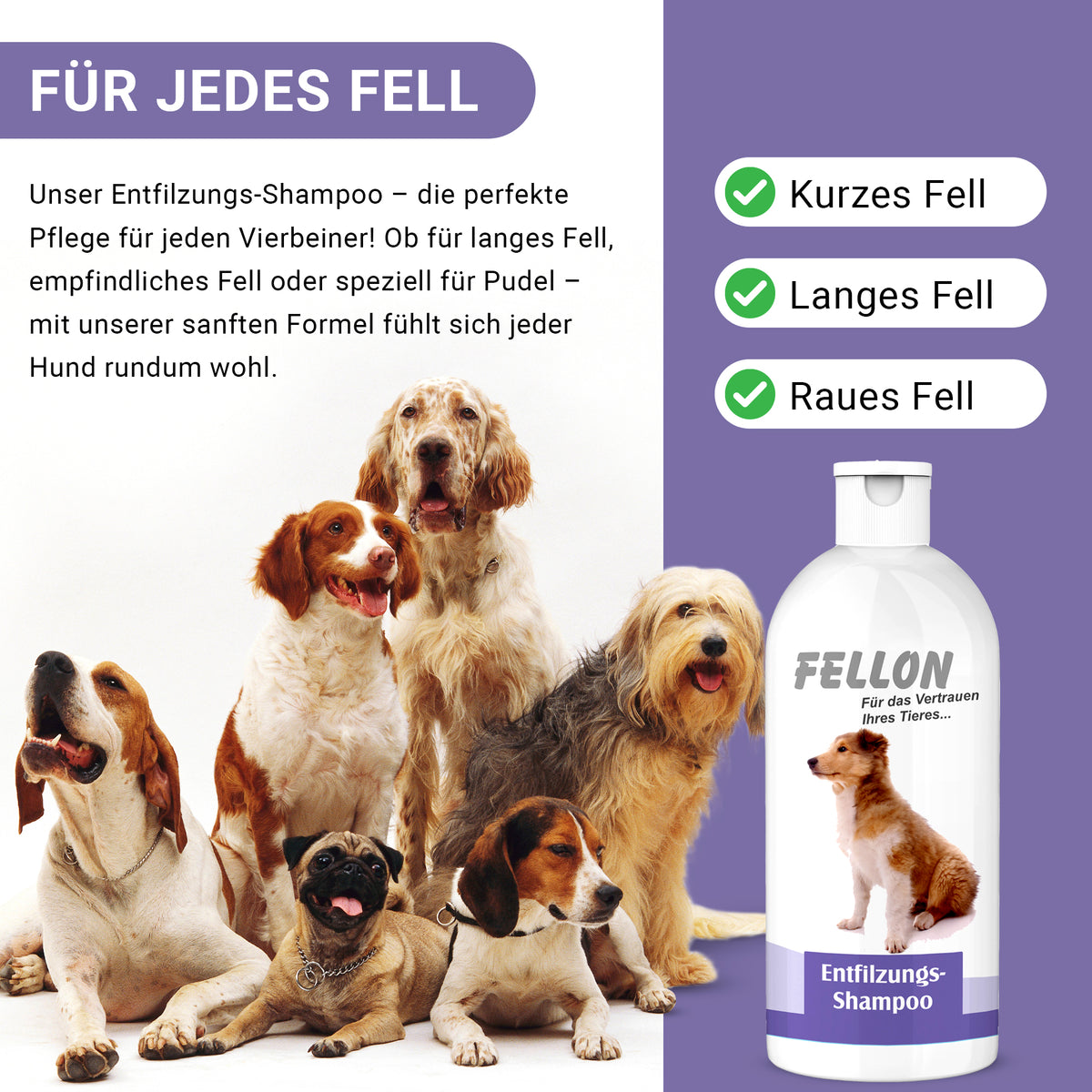Fellon Entfilzungs-Shampoo für Hunde 10 Liter – Bild 5
