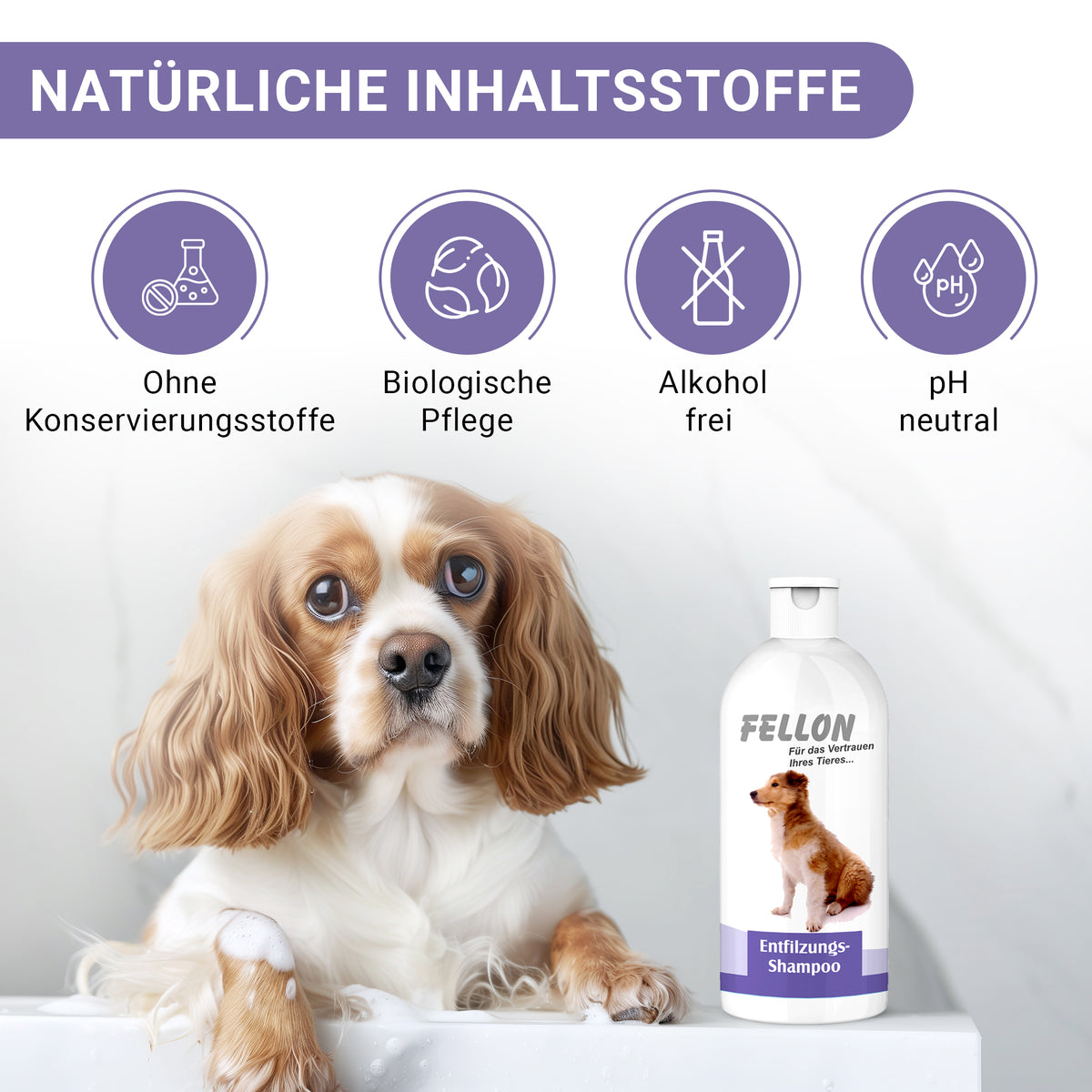 Fellon Entfilzungs-Shampoo für Hunde 10 Liter – Bild 6