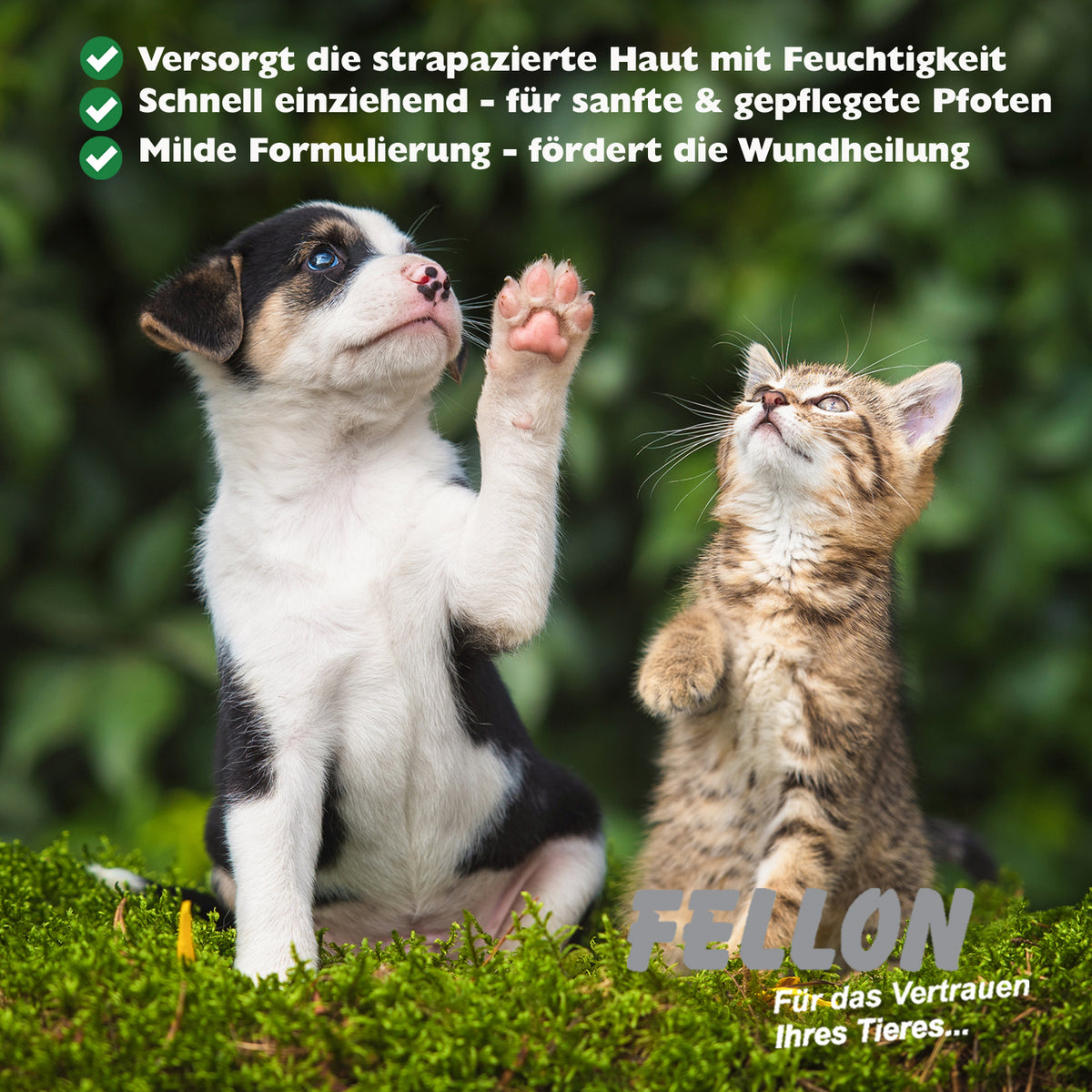 Fellon Pfotenpflege für Hund & Katze 100 g – Bild 3