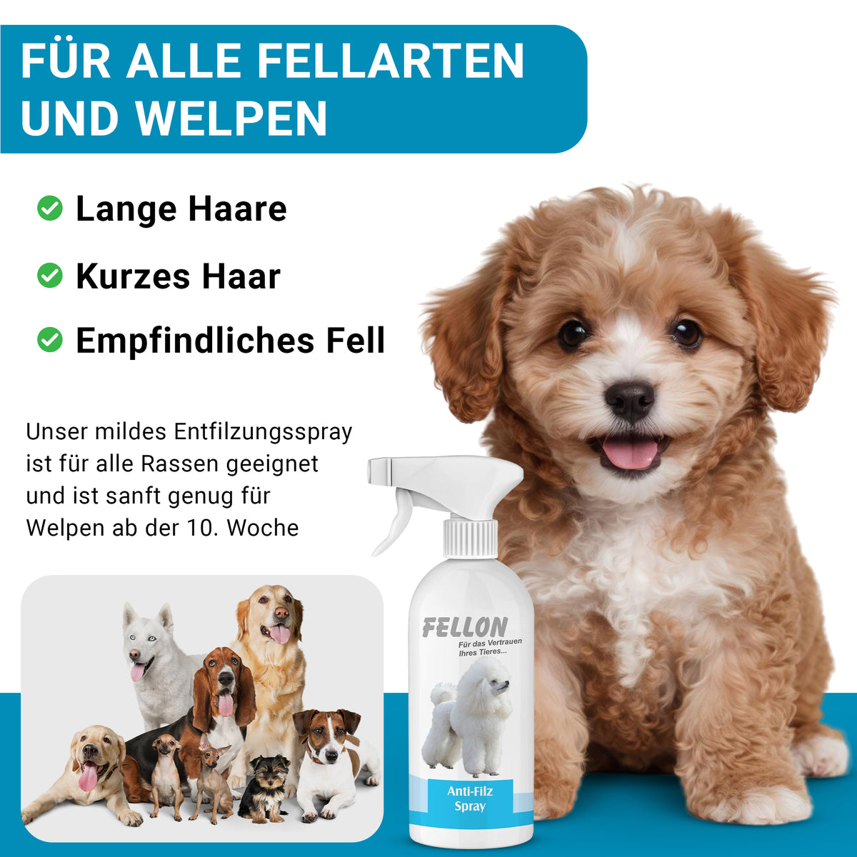 Fellon Anti-Filz Spray für Hunde 500 ml – Bild 5